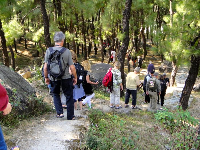 Ned i Kangra Valley