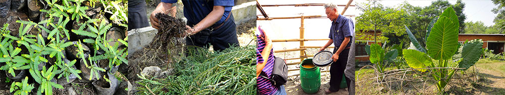 Biodynamisk odling i Nepal